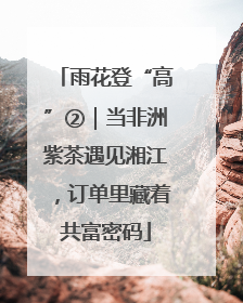 雨花登“高”②｜当非洲紫茶遇见湘江，订单里藏着共富密码
