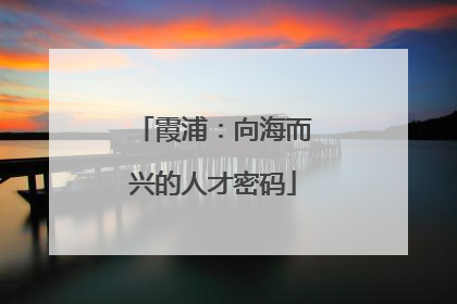 霞浦：向海而兴的人才密码