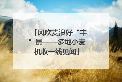 风吹麦浪好“丰”景——多地小麦机收一线见闻