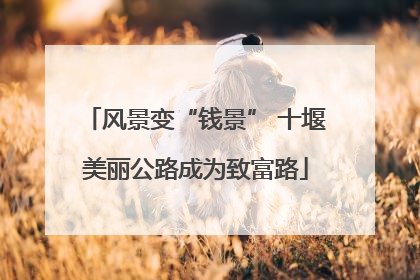 风景变“钱景” 十堰美丽公路成为致富路