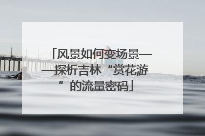 风景如何变场景——探析吉林“赏花游”的流量密码
