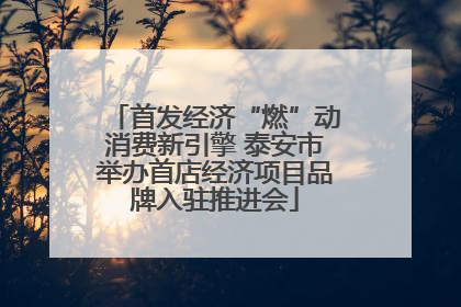 首发经济“燃”动消费新引擎 泰安市举办首店经济项目品牌入驻推进会