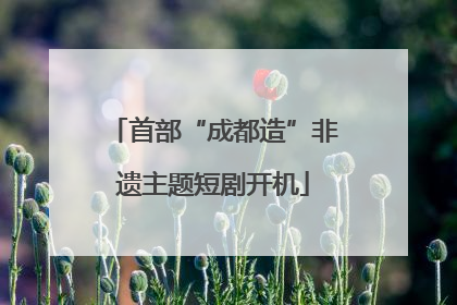 首部“成都造”非遗主题短剧开机