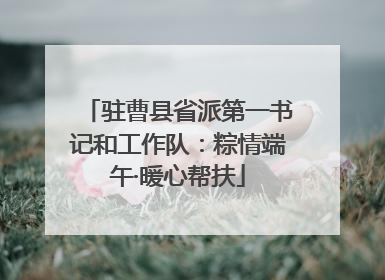 驻曹县省派第一书记和工作队：粽情端午·暖心帮扶