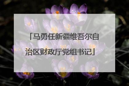 马勇任新疆维吾尔自治区财政厅党组书记