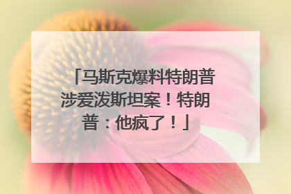 马斯克爆料特朗普涉爱泼斯坦案！特朗普：他疯了！