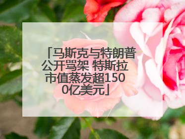 马斯克与特朗普公开骂架 特斯拉市值蒸发超1500亿美元