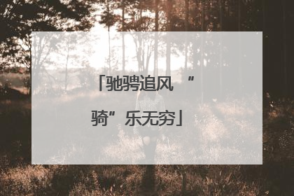 驰骋追风 “骑”乐无穷