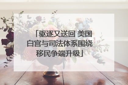 驱逐又送回 美国白宫与司法体系围绕移民争端升级
