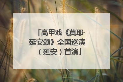 高甲戏《莫耶·延安颂》全国巡演（延安）首演