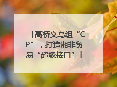 高桥义乌组“CP”，打造湘非贸易“超级接口”