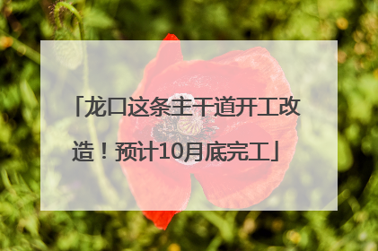 龙口这条主干道开工改造！预计10月底完工
