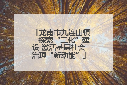 龙南市九连山镇：探索“三化”建设 激活基层社会治理“新动能”