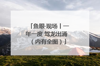 鱼眼·现场丨一年一度 驾龙出涌（内有全图）
