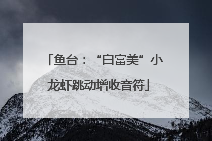 鱼台：“白富美”小龙虾跳动增收音符