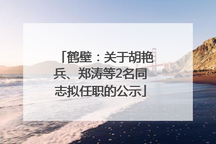 鹤壁：关于胡艳兵、郑涛等2名同志拟任职的公示