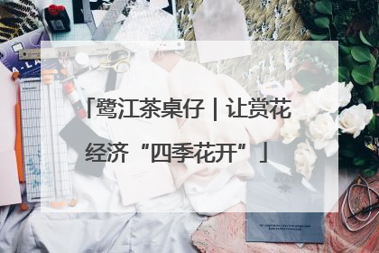 鹭江茶桌仔｜让赏花经济“四季花开”