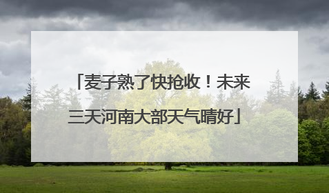 麦子熟了快抢收！未来三天河南大部天气晴好