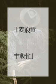 麦浪黄 丰收忙