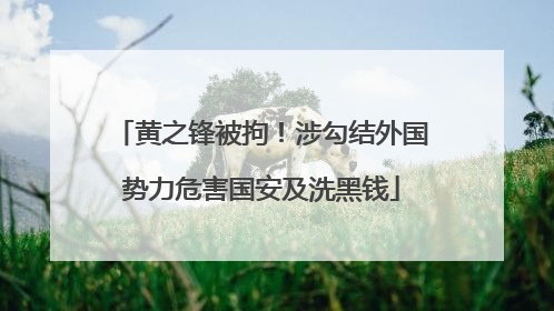 黄之锋被拘！涉勾结外国势力危害国安及洗黑钱