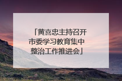 黄喜忠主持召开市委学习教育集中整治工作推进会