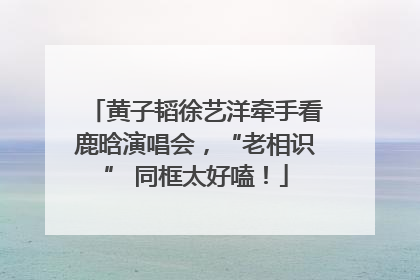 黄子韬徐艺洋牵手看鹿晗演唱会，“老相识” 同框太好嗑！