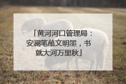 黄河河口管理局：安澜笔蘸文明墨，书就大河万里秋