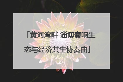 黄河湾畔 淄博奏响生态与经济共生协奏曲