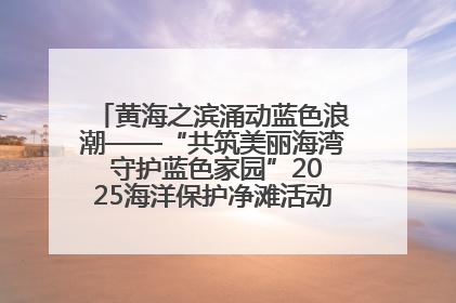 黄海之滨涌动蓝色浪潮——“共筑美丽海湾 守护蓝色家园”2025海洋保护净滩活动暨“美丽江苏—江河湖海青蓝行”海洋篇在连云港举行