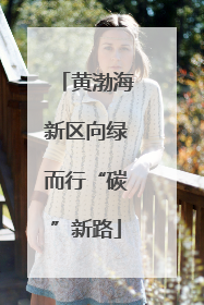 黄渤海新区向绿而行“碳”新路