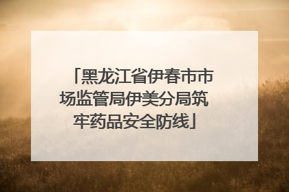黑龙江省伊春市市场监管局伊美分局筑牢药品安全防线