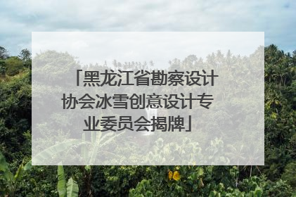 黑龙江省勘察设计协会冰雪创意设计专业委员会揭牌