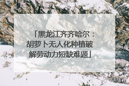 黑龙江齐齐哈尔：胡萝卜无人化种植破解劳动力短缺难题