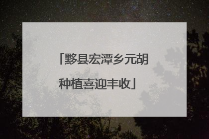 黟县宏潭乡元胡种植喜迎丰收