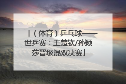 （体育）乒乓球——世乒赛：王楚钦/孙颖莎晋级混双决赛