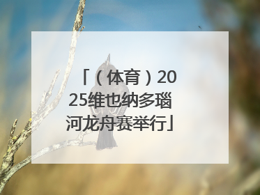 （体育）2025维也纳多瑙河龙舟赛举行