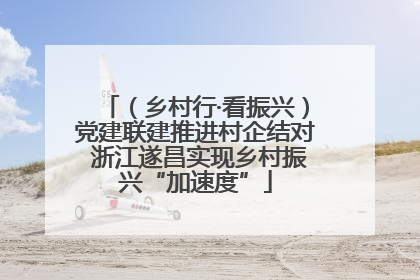 （乡村行·看振兴）党建联建推进村企结对 浙江遂昌实现乡村振兴“加速度”