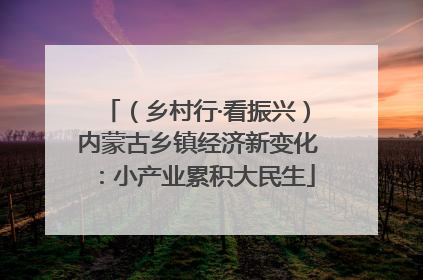 (乡村行·看振兴)内蒙古乡镇经济新变化:小产业累积大民生