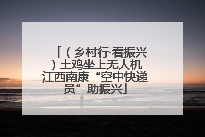 （乡村行·看振兴）土鸡坐上无人机 江西南康“空中快递员”助振兴