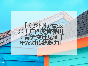 （乡村行·看振兴）广西龙脊梯田：背篓变迁见证千年农耕传统魅力