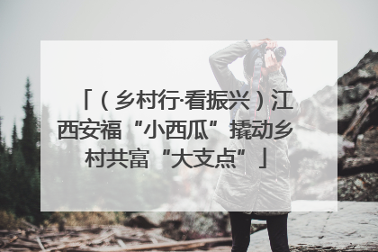 （乡村行·看振兴）江西安福“小西瓜”撬动乡村共富“大支点”