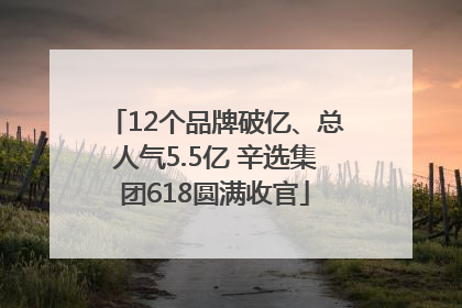 12个品牌破亿、总人气5.5亿 辛选集团618圆满收官