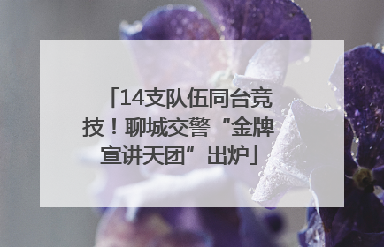 14支队伍同台竞技！聊城交警“金牌宣讲天团”出炉