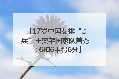 17岁中国女排“奇兵”王奥芊国家队首秀：6扣6中得6分