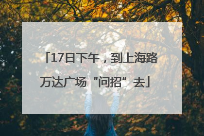 17日下午，到上海路万达广场“问招”去