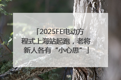 2025FE电动方程式上海站起跑，老将新人各有“小心思”