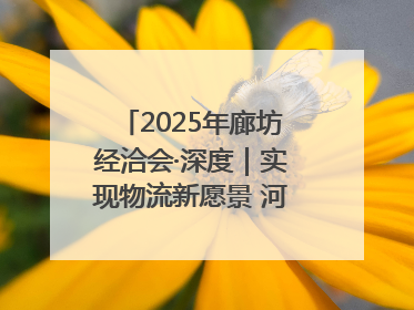 2025年廊坊经洽会·深度｜实现物流新愿景 河北再出发