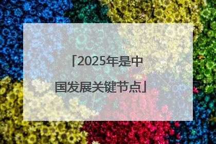 2025年是中国发展关键节点