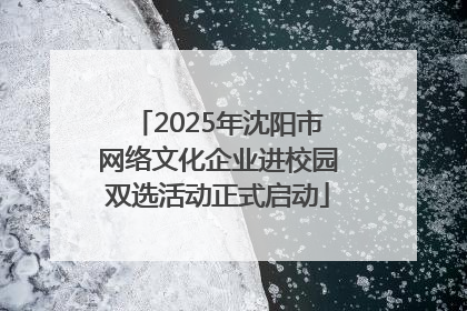 2025年沈阳市网络文化企业进校园双选活动正式启动