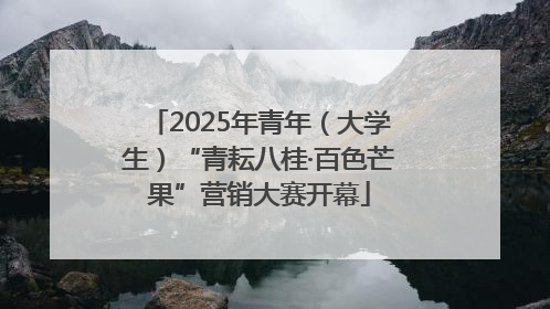 2025年青年（大学生）“青耘八桂·百色芒果”营销大赛开幕